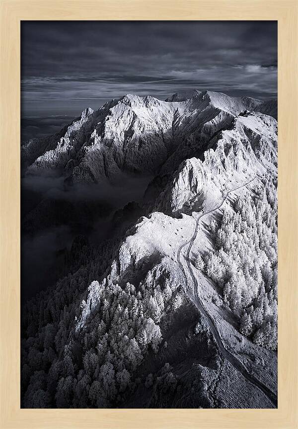 Serenity In The Bucegi Mountains