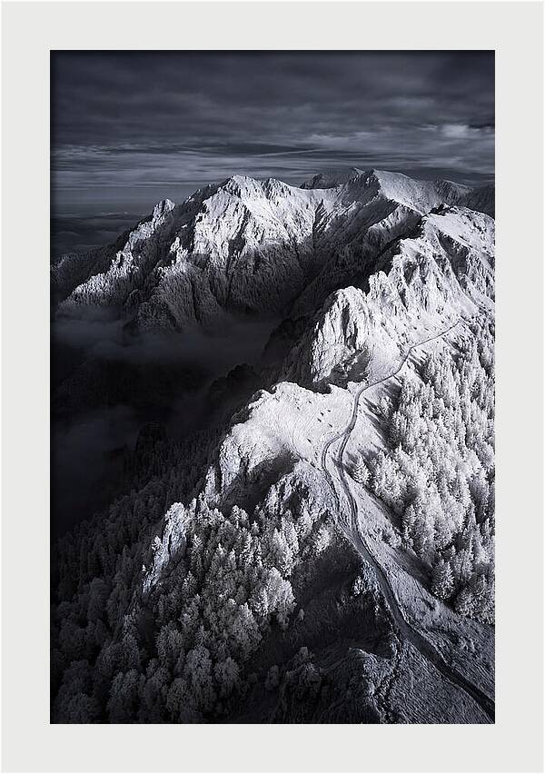 Serenity In The Bucegi Mountains