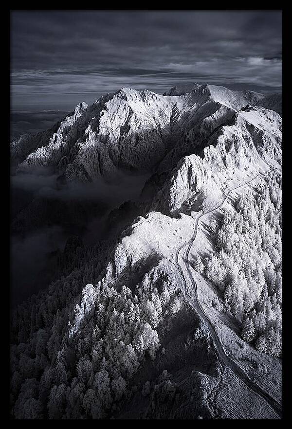 Serenity In The Bucegi Mountains
