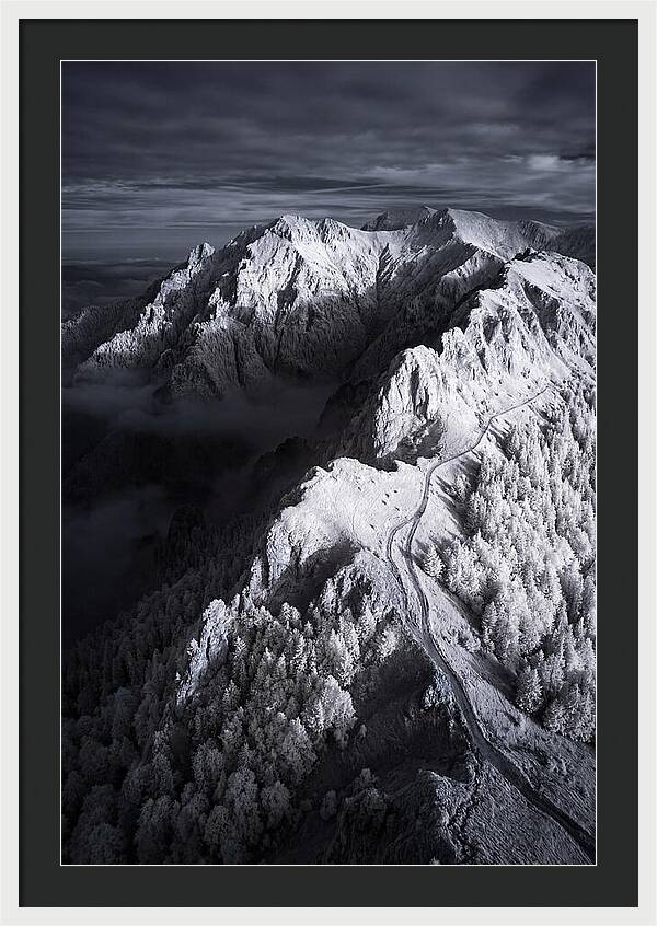 Serenity In The Bucegi Mountains