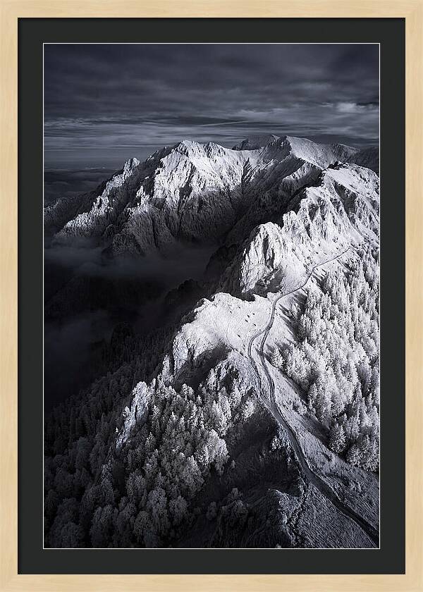 Serenity In The Bucegi Mountains