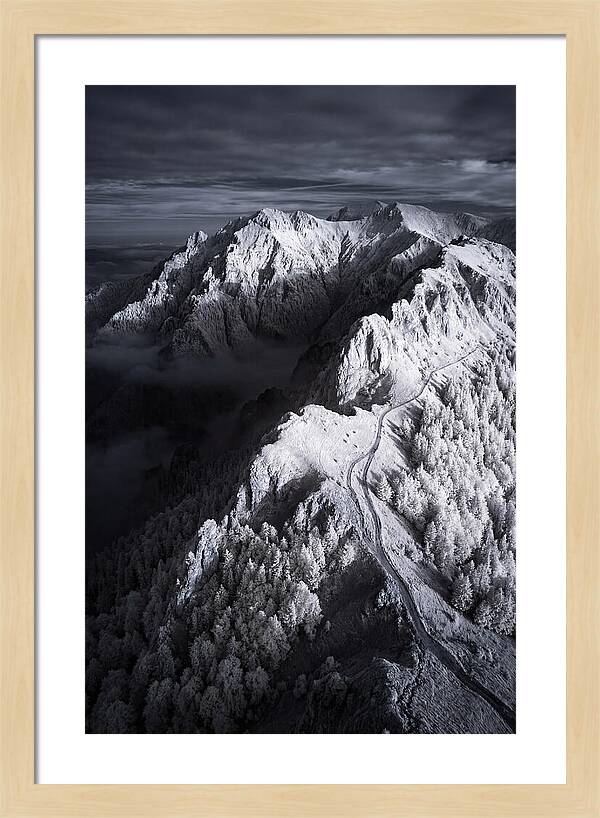 Serenity In The Bucegi Mountains