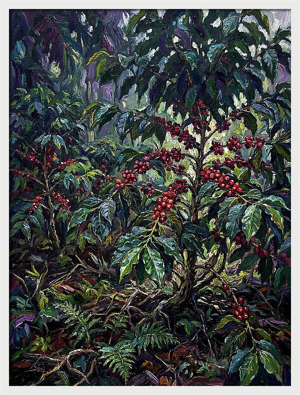 Serenity In The Heart Of Coffee Country
