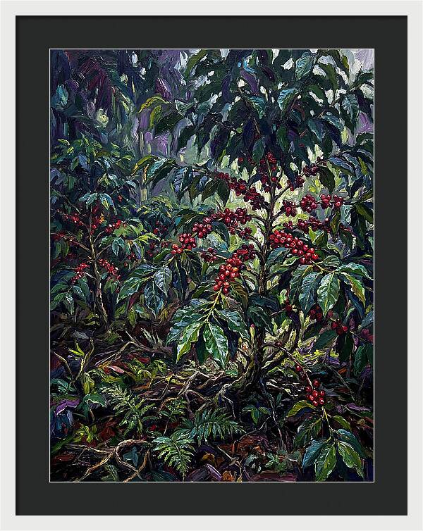 Serenity In The Heart Of Coffee Country