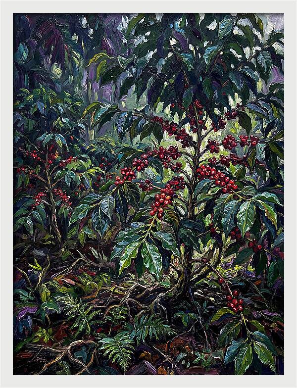 Serenity In The Heart Of Coffee Country