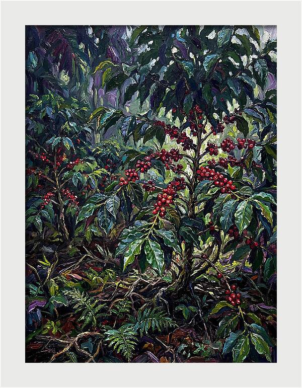 Serenity In The Heart Of Coffee Country
