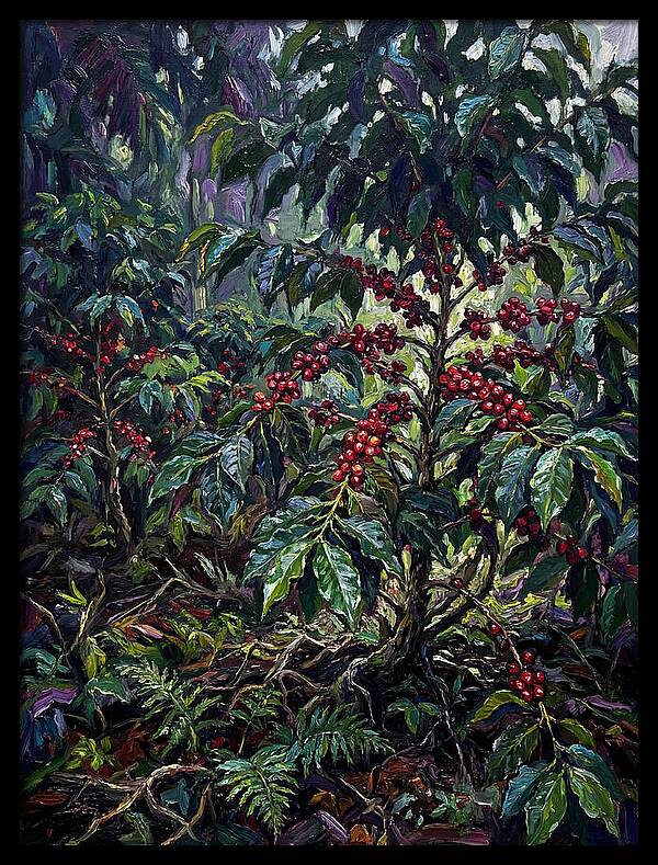 Serenity In The Heart Of Coffee Country