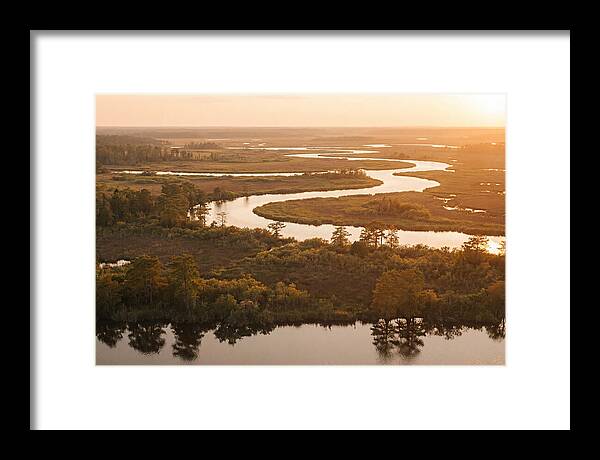 Serenity In The Okavango Delta