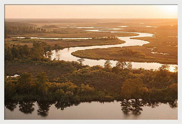 Serenity In The Okavango Delta