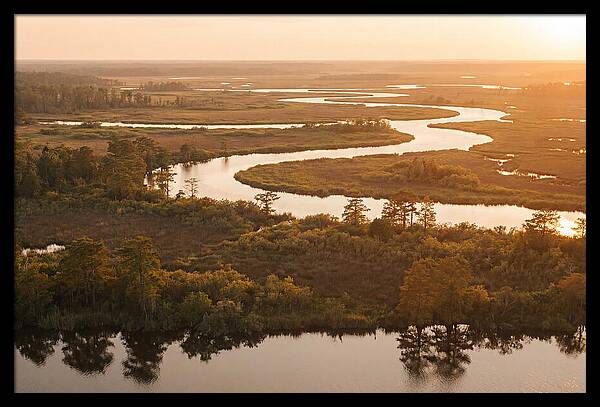 Serenity In The Okavango Delta