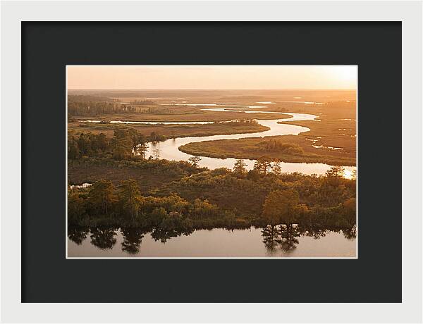 Serenity In The Okavango Delta