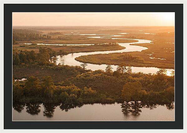 Serenity In The Okavango Delta
