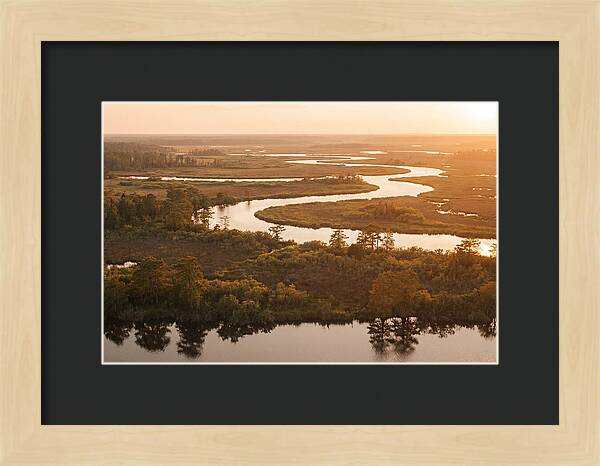 Serenity In The Okavango Delta