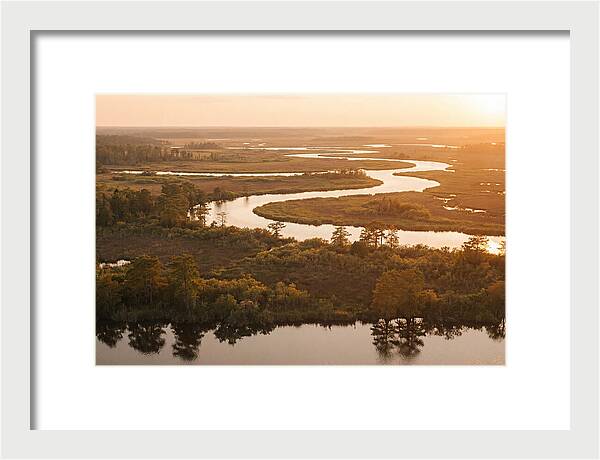 Serenity In The Okavango Delta