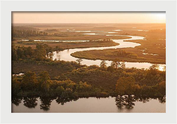 Serenity In The Okavango Delta