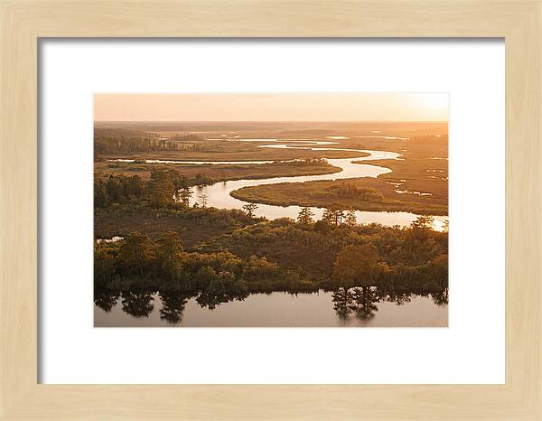 Serenity In The Okavango Delta