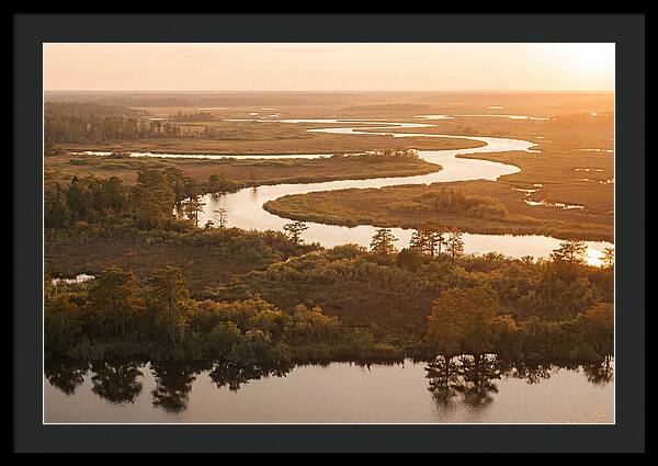 Serenity In The Okavango Delta