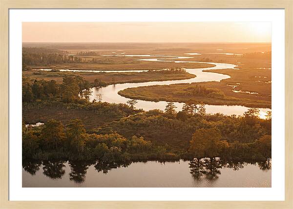 Serenity In The Okavango Delta