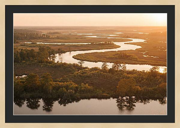 Serenity In The Okavango Delta