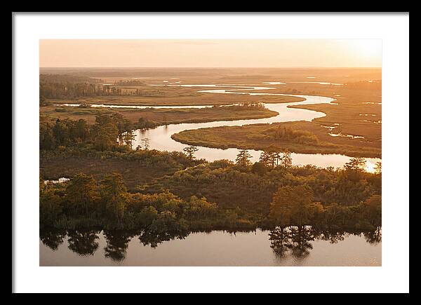 Serenity In The Okavango Delta
