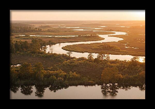 Serenity In The Okavango Delta