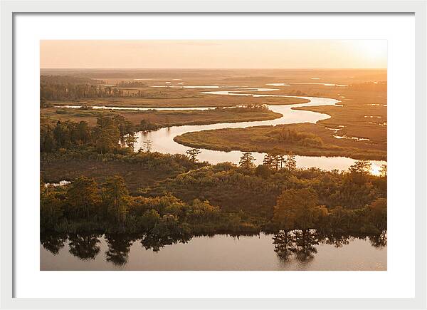 Serenity In The Okavango Delta