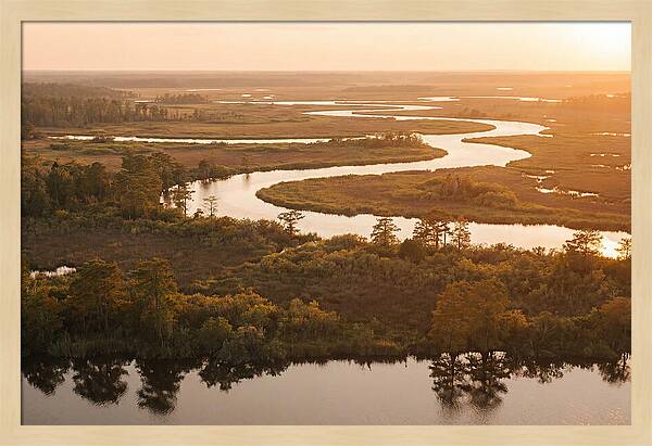 Serenity In The Okavango Delta