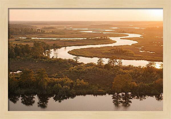 Serenity In The Okavango Delta