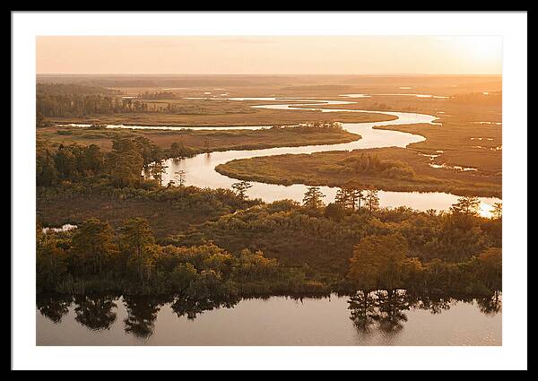 Serenity In The Okavango Delta