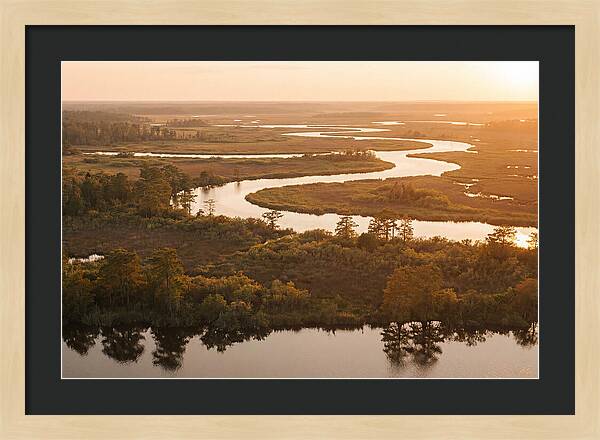 Serenity In The Okavango Delta