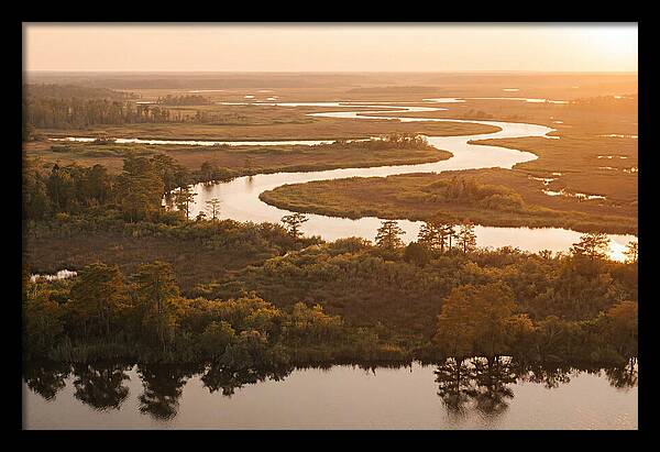 Serenity In The Okavango Delta