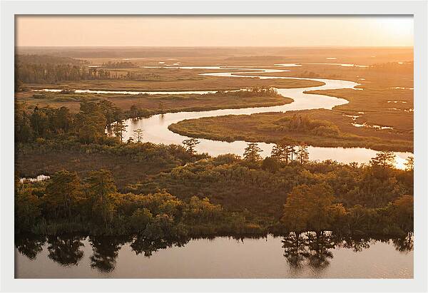 Serenity In The Okavango Delta