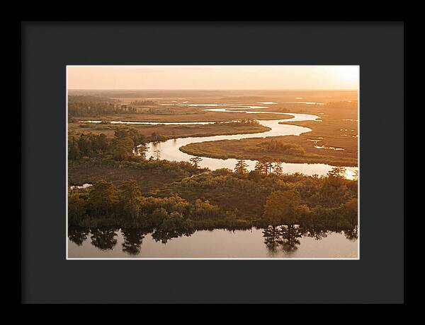 Serenity In The Okavango Delta