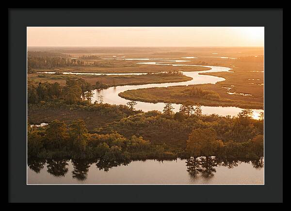 Serenity In The Okavango Delta