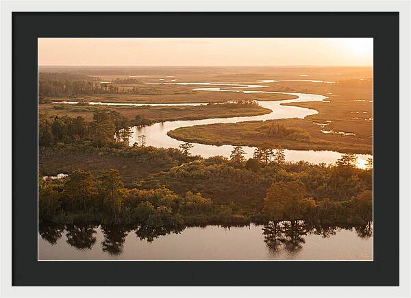 Serenity In The Okavango Delta