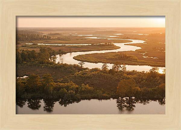 Serenity In The Okavango Delta