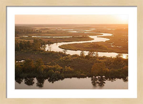 Serenity In The Okavango Delta