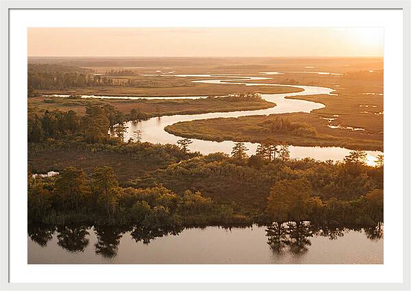 Serenity In The Okavango Delta