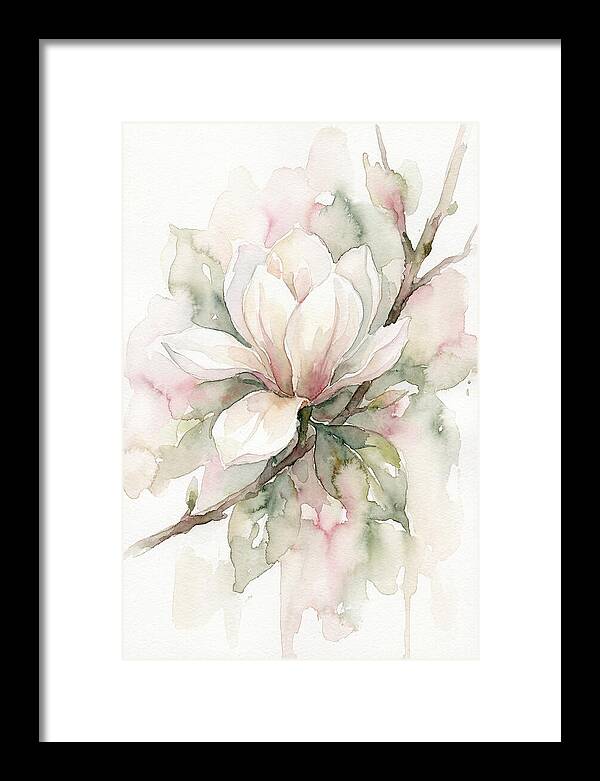 Serenity Of Magnolia Blooms