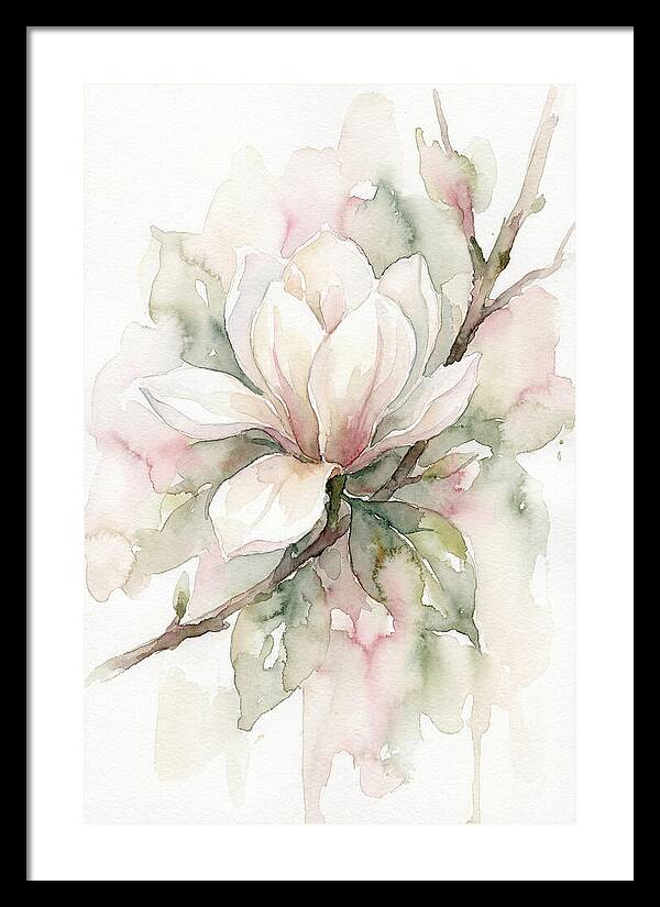 Serenity Of Magnolia Blooms