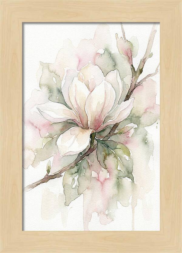 Serenity Of Magnolia Blooms