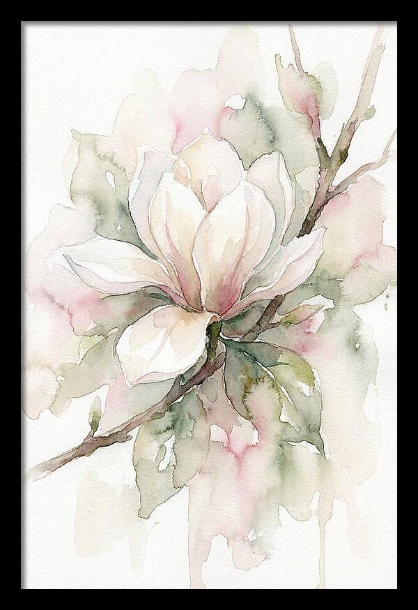 Serenity Of Magnolia Blooms