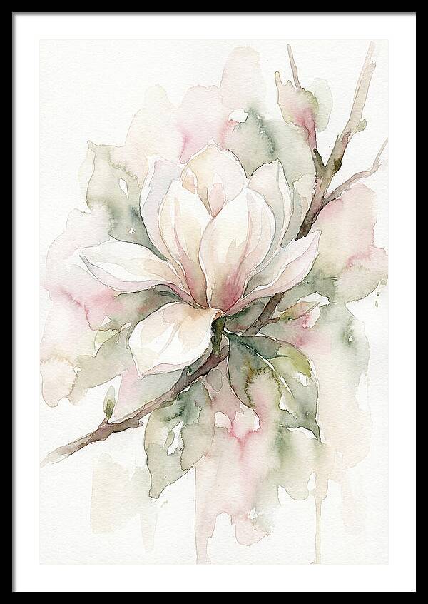 Serenity Of Magnolia Blooms