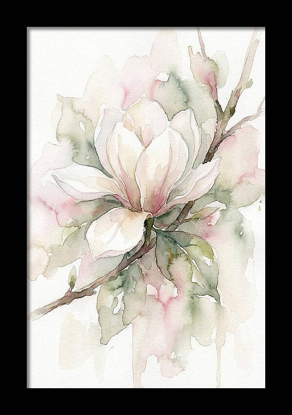 Serenity Of Magnolia Blooms
