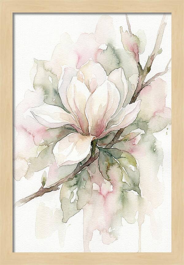 Serenity Of Magnolia Blooms