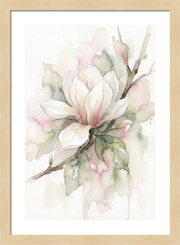 Serenity Of Magnolia Blooms