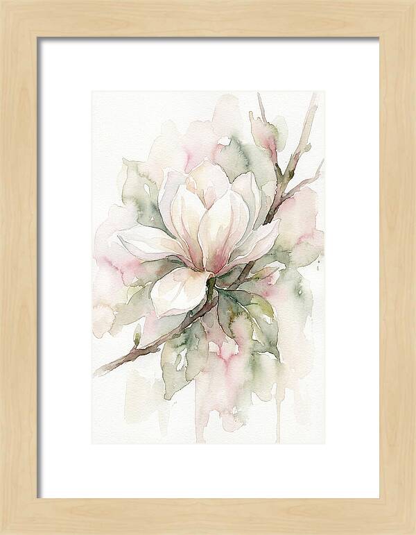 Serenity Of Magnolia Blooms