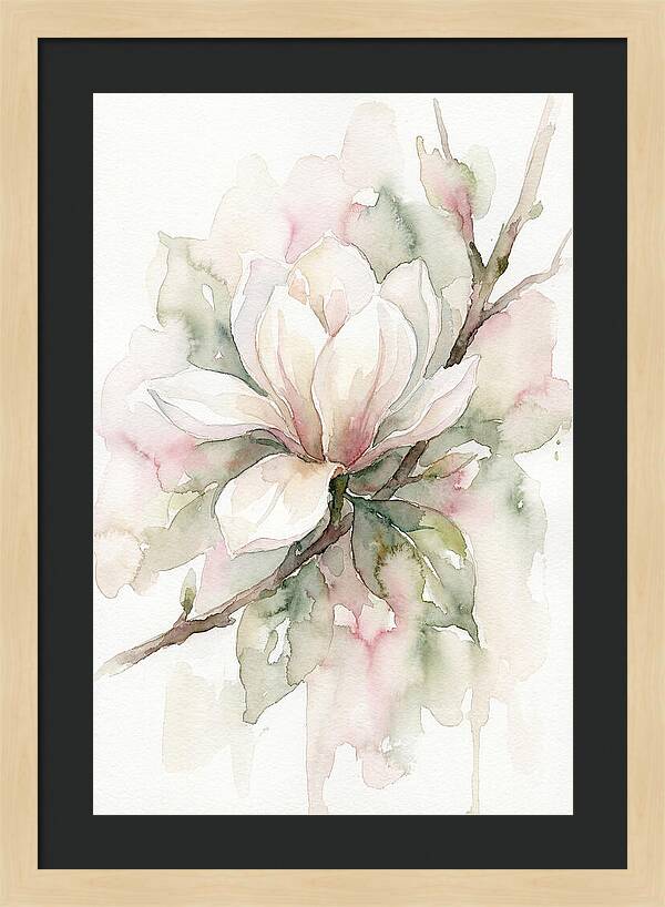Serenity Of Magnolia Blooms