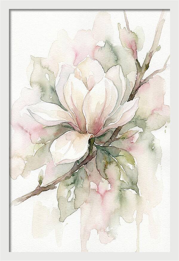 Serenity Of Magnolia Blooms