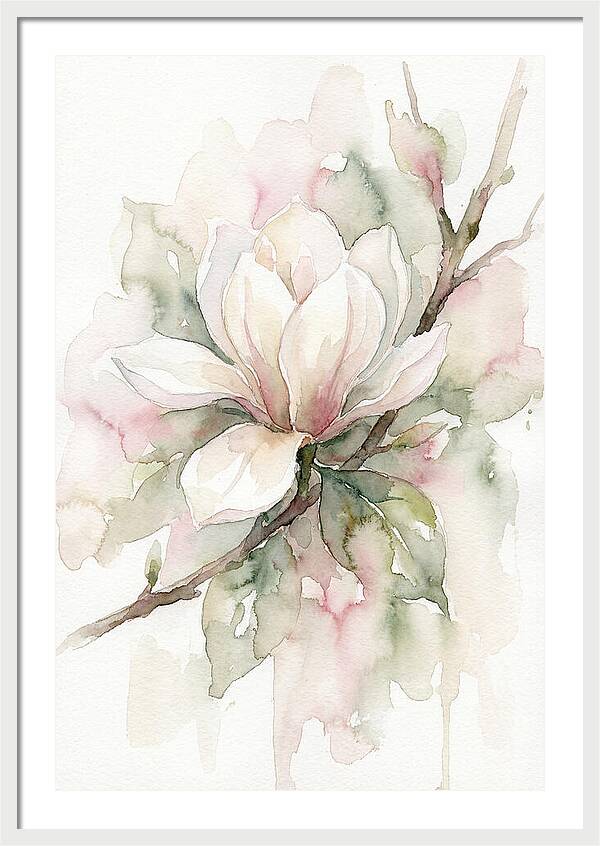 Serenity Of Magnolia Blooms